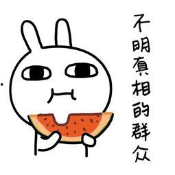 情感节目吃瓜,情感节目里的甜蜜与苦涩