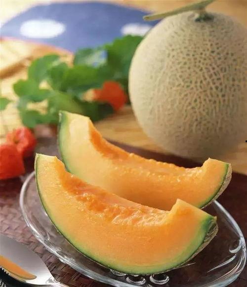 丰田吃哈密瓜