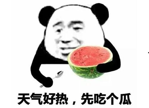 带你吃瓜买瓜图片表情包,带你吃瓜买瓜表情包大揭秘
